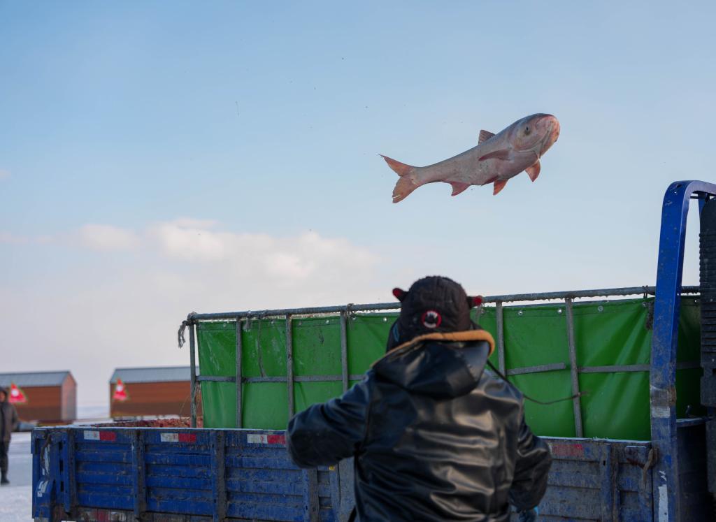 约占全球56%!中国渔业好“丰”景(图3)