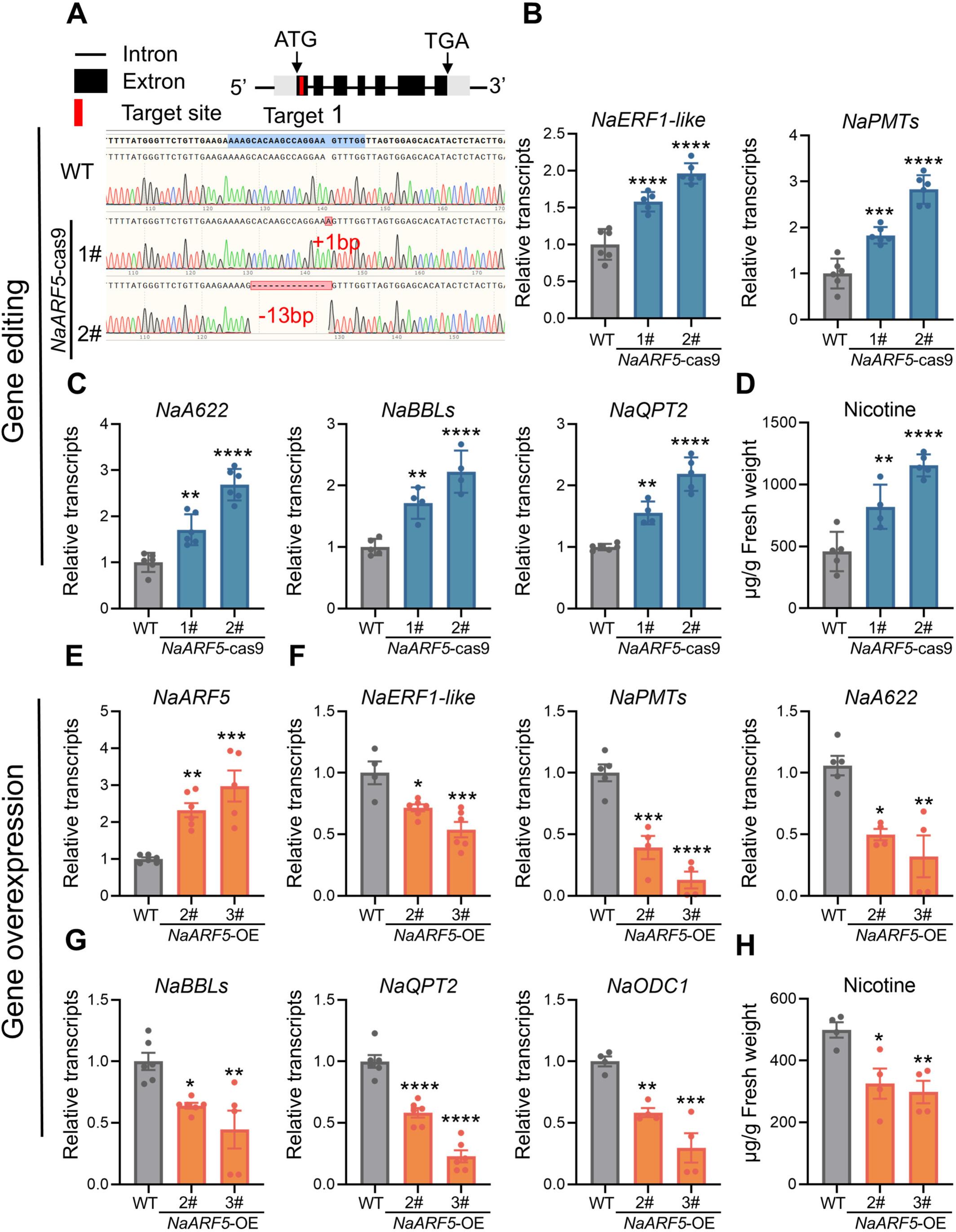 烟草抗虫“化学武器”谜题破解抗逆育种有新靶点(图2)
